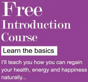 Free introduction course